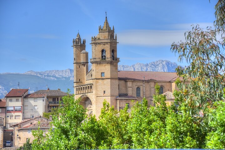 Private Full Day Wine Tour in Rioja