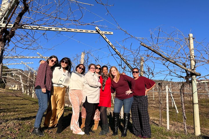 Grand tour of Valpolicella : Amarone focus, 2 Wineries and Lunch