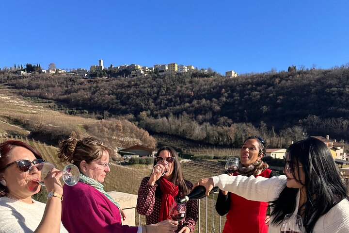 Grand tour of Valpolicella : Amarone focus, 2 Wineries and Lunch