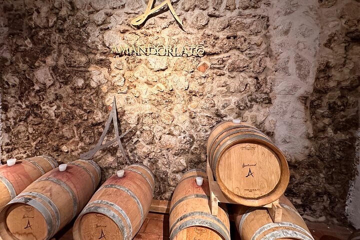 Grand tour of Valpolicella : Amarone focus, 2 Wineries and Lunch