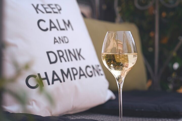 The Connoisseurs from Epernay (Private Half day Champagne Tour)