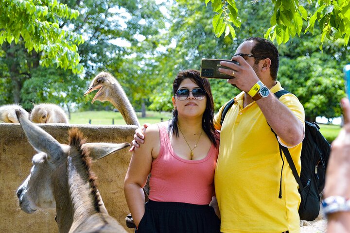 Tour to the Hacienda Nápoles Theme Park
