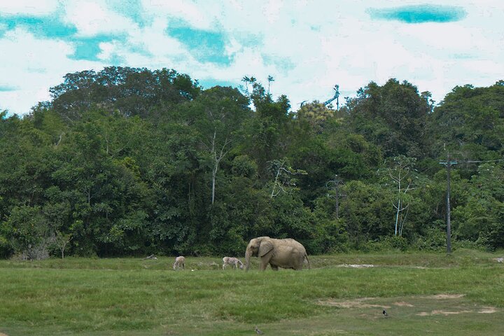 Tour to the Hacienda Nápoles Theme Park