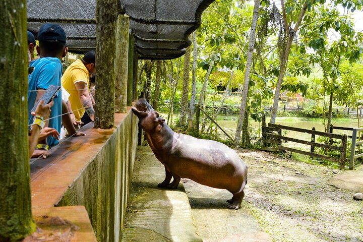 Tour to the Hacienda Nápoles Theme Park