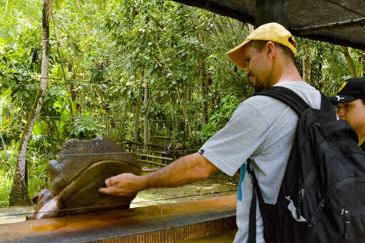 Tour to the Hacienda Nápoles Theme Park