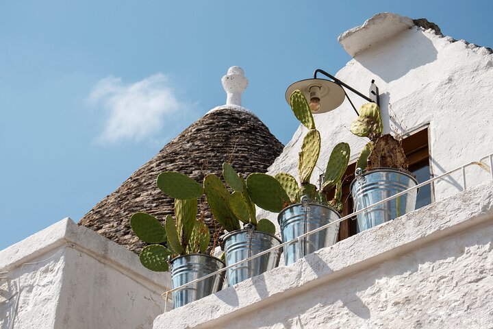 Alberobello & Matera : Full-Day Private Tour from Bari