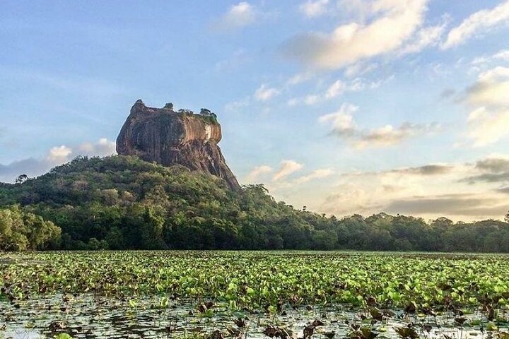 Sigiriya and Dambulla Day Trip from Pasikuda and Kalkuda