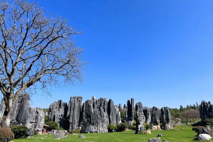 Private day tour to Kunming Stone Forest and Jiuxiang &lunch