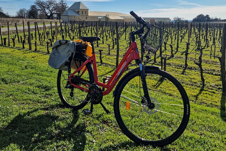 Saint Emilion Half Day Ebike and Wine Tour with Picnic.