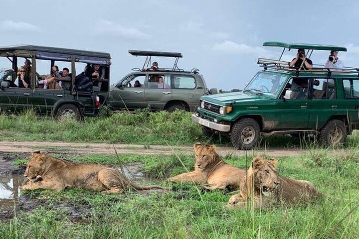 Queen Elizabeth National Park in Uganda 3 Days Safari Tour