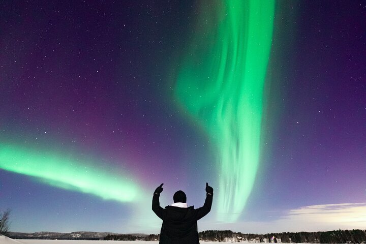 Rovaniemi: Northern Lights Pro Guaranteed - Unlimited Distance