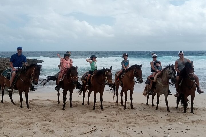 Aruba Ecological & Coastline Horseback Ride with Beach Photo Stop