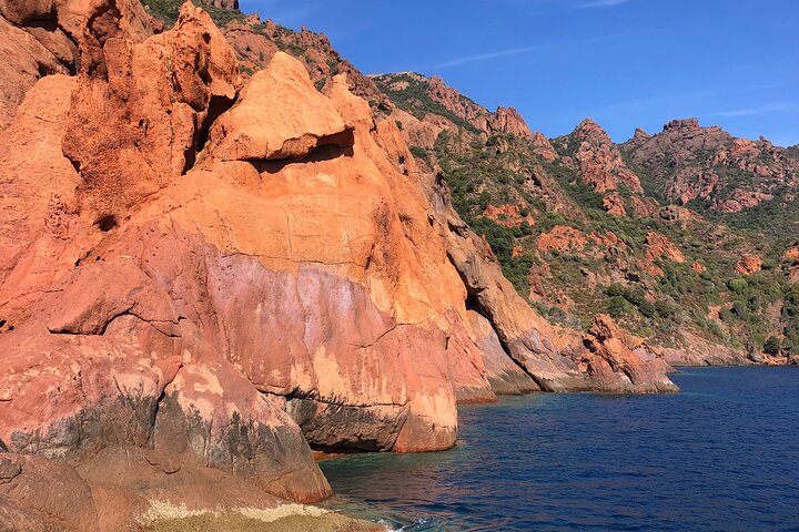 De Sagone/Cargèse: Scandola Girolata 2h Calanques Piana Swimming