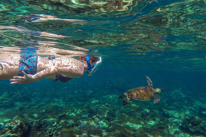 Huatulco Ocean Adventures