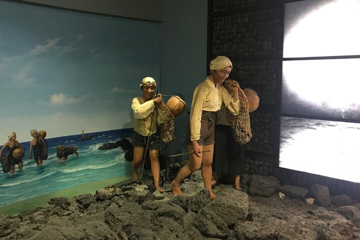 Jeju Island Eastern UNESCO site Full Day Guided Tour