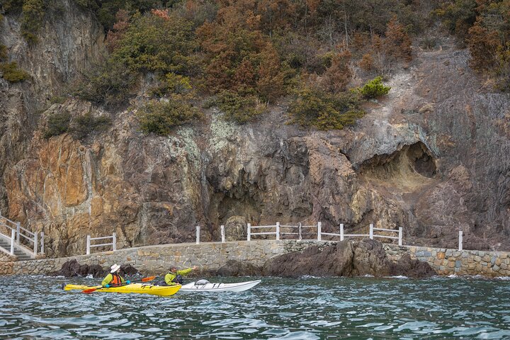 Explore the Nature that Inspired Ghibli Movies by Kayak (Half Day)