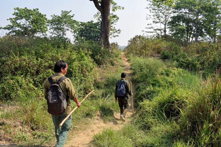 4 Days 3 Nights in Chitwan National Park Jungle Trek from Sauraha