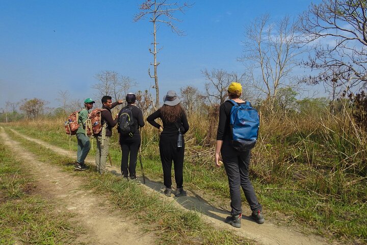 4 Days 3 Nights in Chitwan National Park Jungle Trek from Sauraha