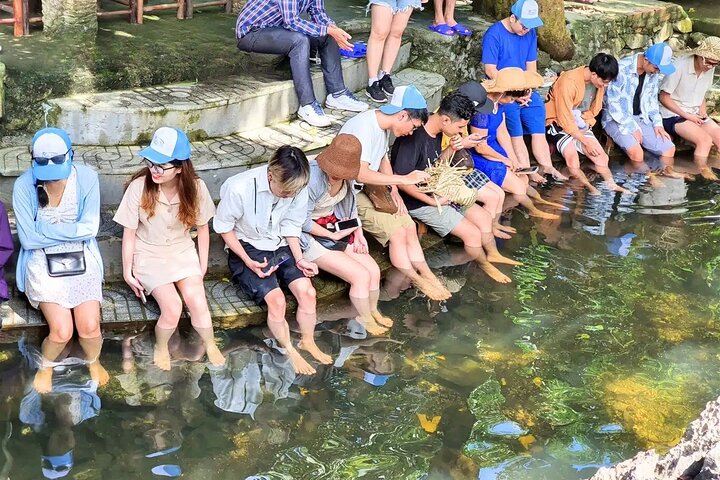 2 Days 1 Night on Lan Ha Bay at Daiichi Boutique Cruise