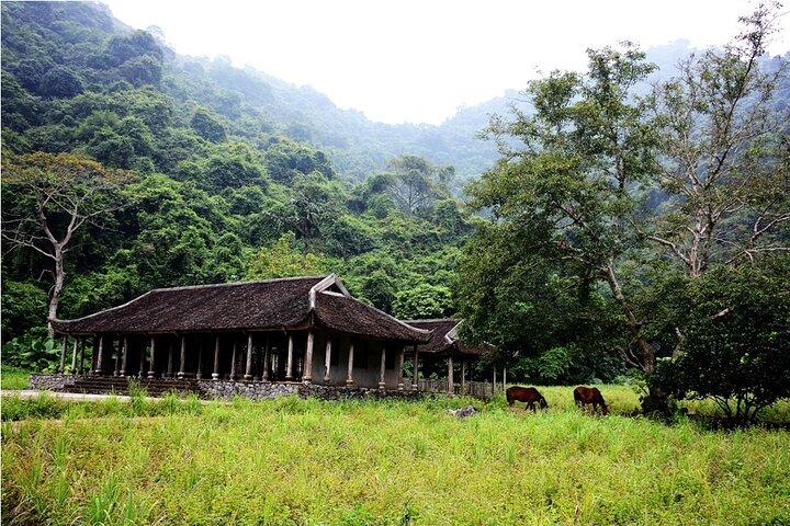 2 Days 1 Night on Lan Ha Bay at Daiichi Boutique Cruise