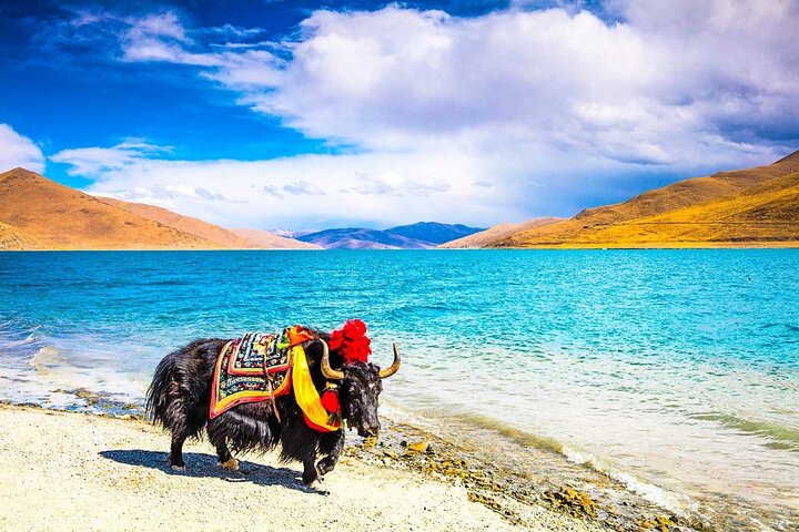 8 Days Lhasa Gyantse Shigatse Mt Everest Group Tour