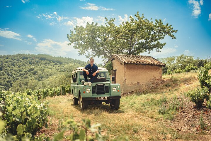 Private Half Day Wine Tour from Lyon in Beaujolais