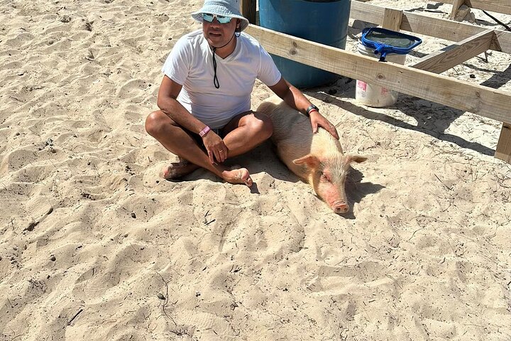 Nassau 3-stops: Snorkeling, Swimming Pigs, Turtles & Lunch