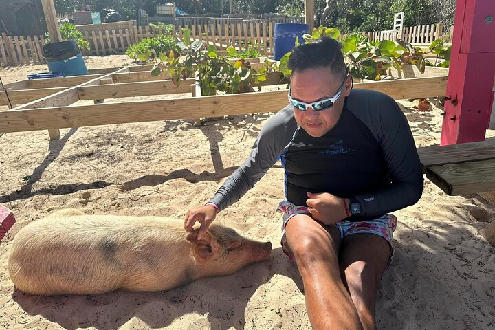 Nassau 3-stops: Snorkeling, Swimming Pigs, Turtles & Lunch