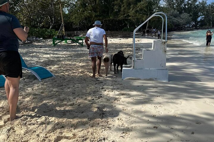 Nassau 3-stops: Snorkeling, Swimming Pigs, Turtles & Lunch