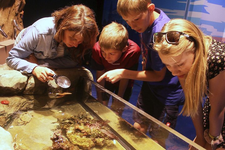 SEA LIFE Konstanz Admission Ticket