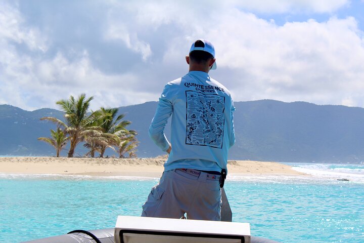BVI Apotheoseas boat charter 38ft, Full Day / Half day trips