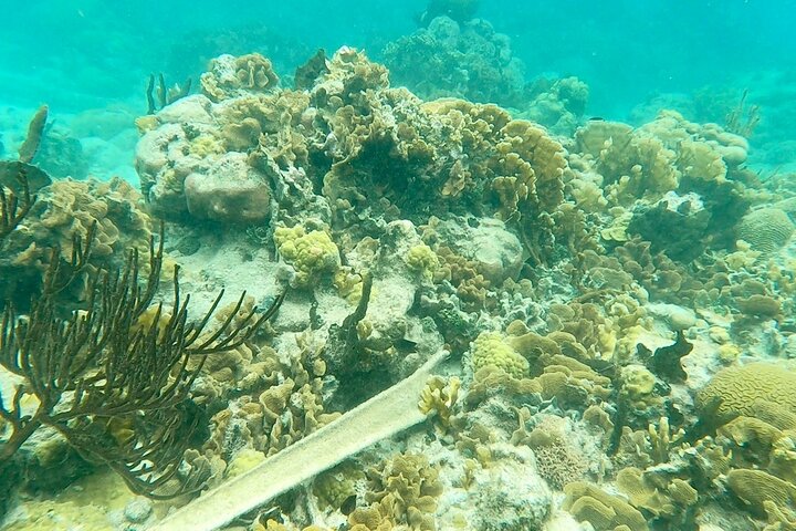 Caribbean Catamaran Escape: Beaches, Snorkeling & Lunch