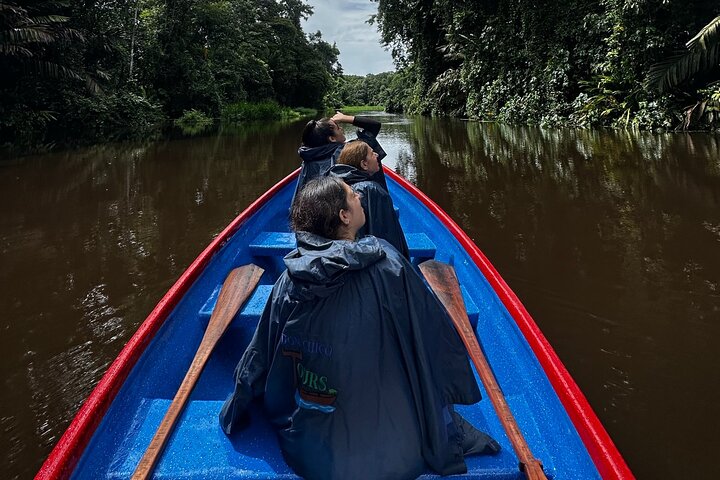 Tortuguero National Park Canal Tour with Canoe