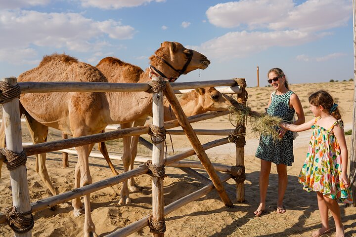 Dubai Red Dunes ATV, Camels, Stargazing & 5* BBQ Al Khayma Camp