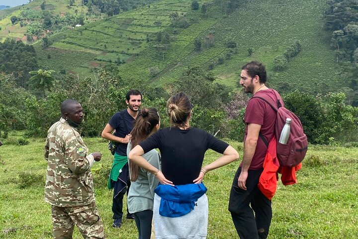 3 Day Private Gorilla and Safari Tour in Uganda