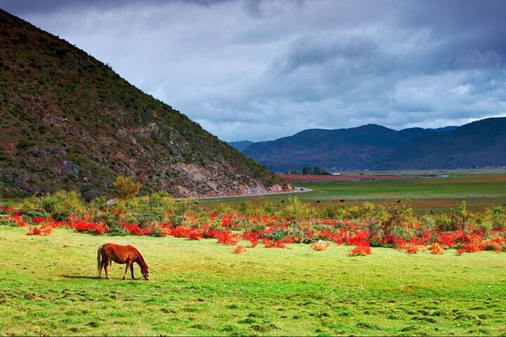 Private tour Songzanlin Monastry & Tibetan lunch from Zhongdian