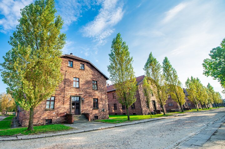 Krakow to Auschwitz Birkenau Guided Tour with Transfer and Ticket