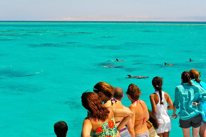 All-Inclusive Sandbar Safari with Dolphin Playground Encounter