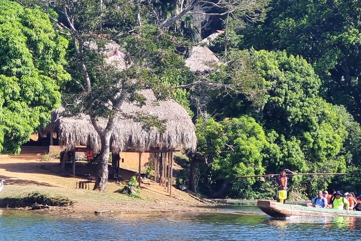 Panama City: Cultural Tour at Embera Indigenous Village