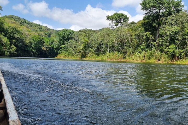 Panama City: Cultural Tour at Embera Indigenous Village