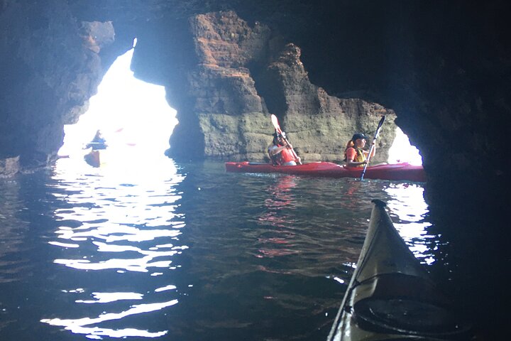 Wildlife, Sea Cave and Bushcraft Kayak Safari in English Riviera