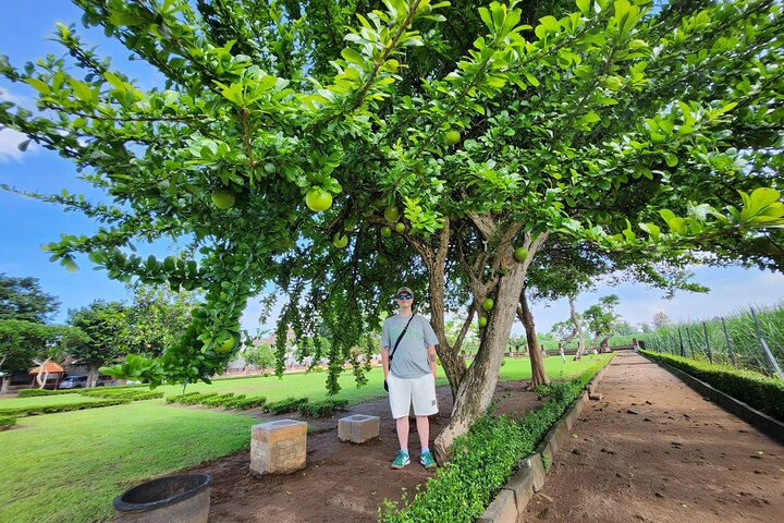 Trowulan Tour Ruin of Majapahit Kingdom from Surabaya