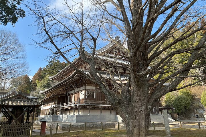 Private Sake Brewery Tour and Shinran Temple Visit