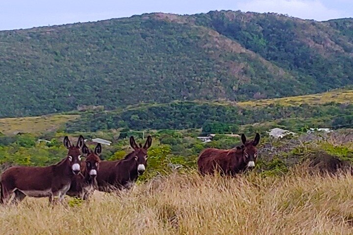 Nevis Historical Walking Tour