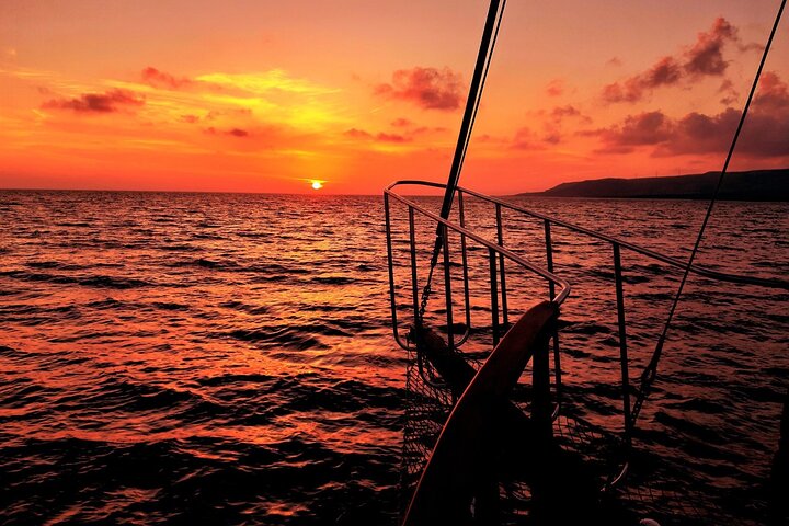 Queen Bee Sunset Cruise with Swim Stops and Dinner