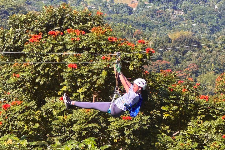 El Yunque Ziplining in Puerto Rico