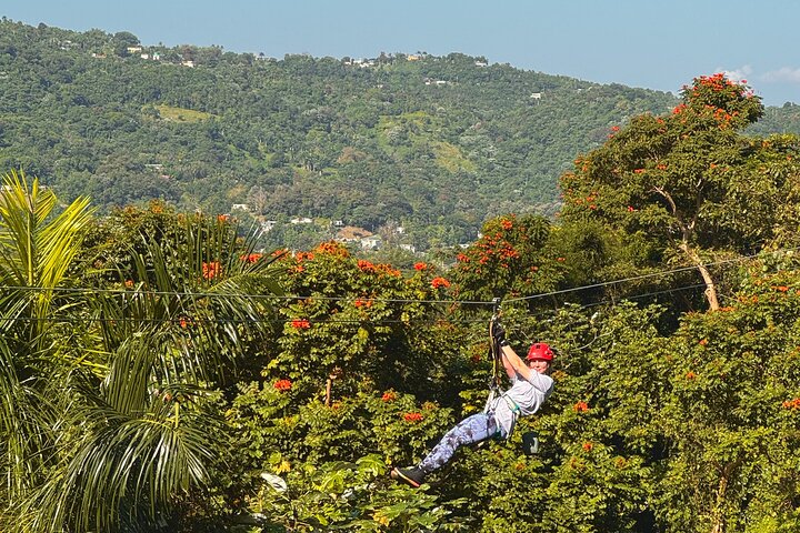 El Yunque Ziplining in Puerto Rico