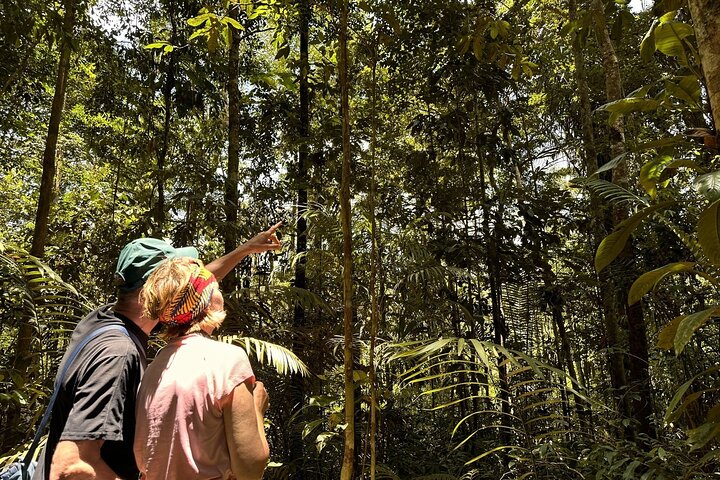 Exclusive 3-Day All-Inclusive Amazon Adventure in Napo Province