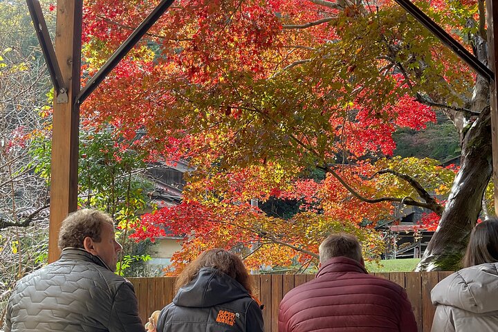 Artist Pottery and Cooking Class in the Old Streets of Mt. Hiei