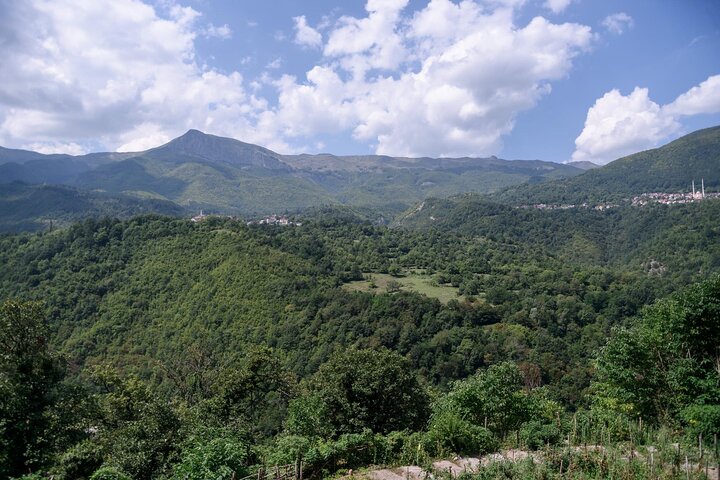 National Park of Mavrovo and Bigorski monastery, from Ohrid